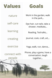Examples of values and goals